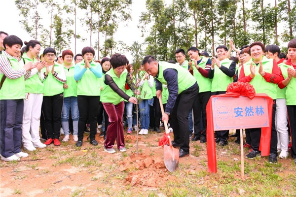 深圳农家乐植树基地_大鹏海边植树基地 深圳农家乐植树基地_大鹏海边植树基地